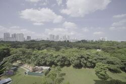 Blk 224 Bishan Street 23 (Bishan), HDB 4 Rooms #536967211